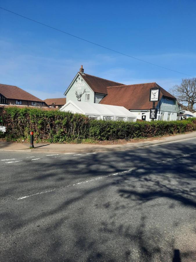 סאות'המפטון The Roebuck Inn מראה חיצוני תמונה